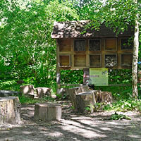 Schulgarten